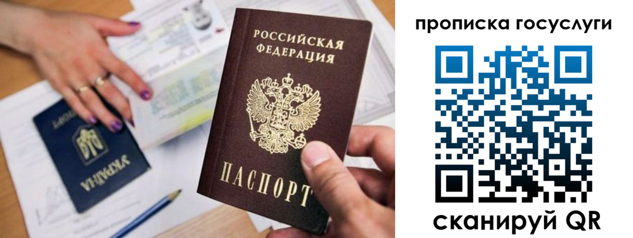 временная прописка в Ржеве